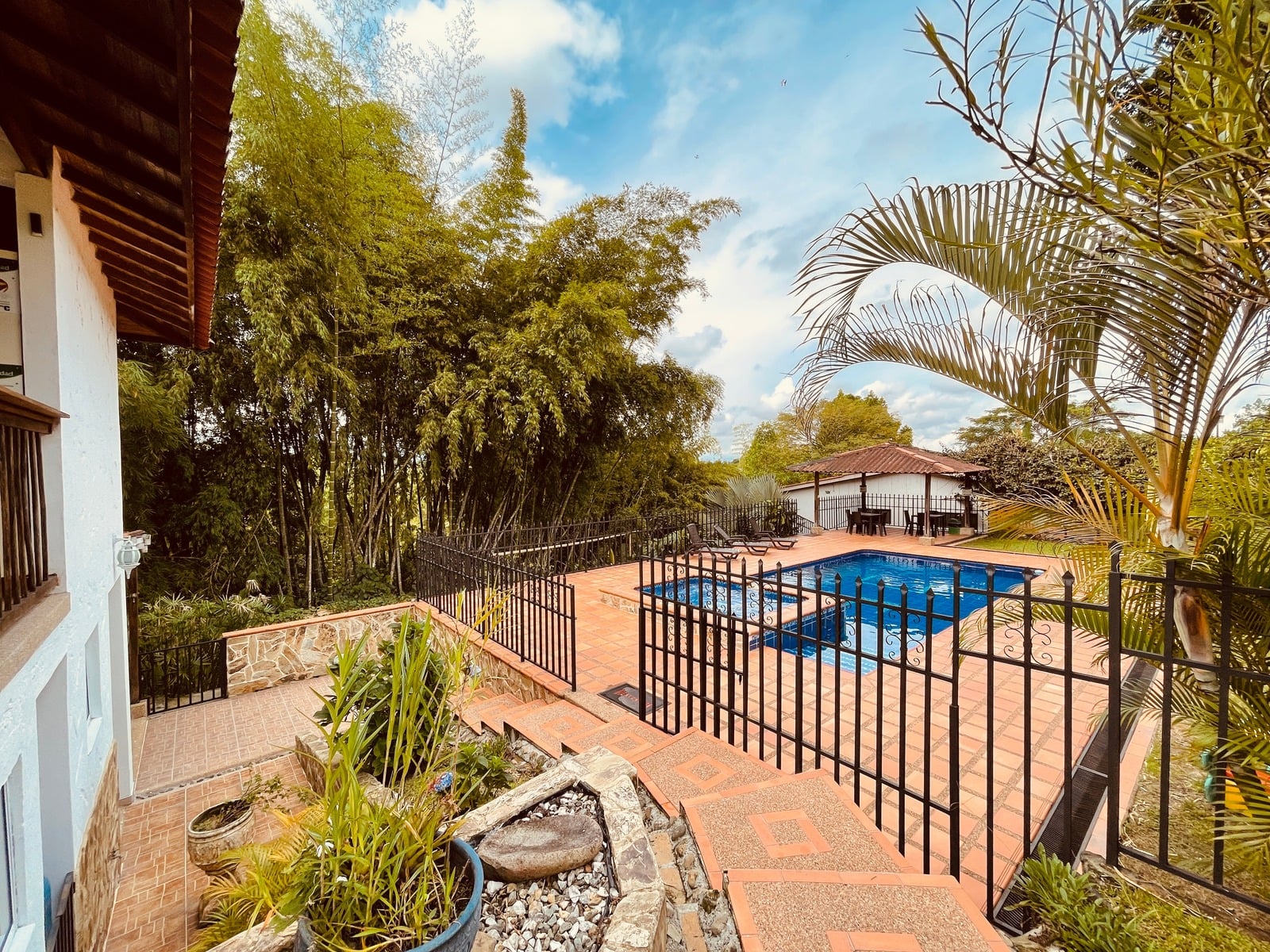 Fotografía profesional de Daniela Zapata Betancourt — imagen 21